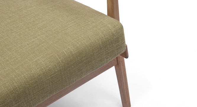 Forbid Lounge Chair (Green)